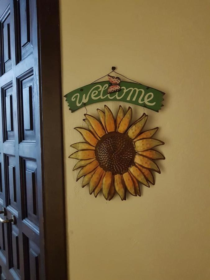 Il Girasole Storico Leilighet Pitigliano Eksteriør bilde