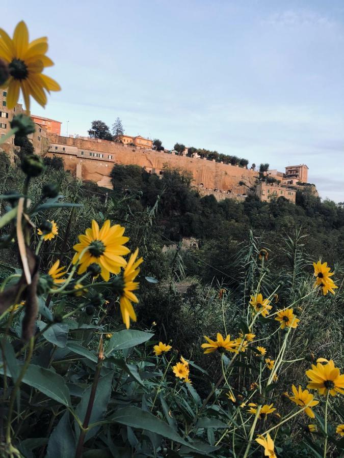 Il Girasole Storico Leilighet Pitigliano Eksteriør bilde